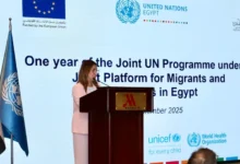 "د.حنان حمدان" ممثلة مفوضية الأمم المتحدة لشؤون اللاجئين في مصر في المنصة المشتركة بين الحكومة المصرية والأمم المتحدة بشأن المهاجرين واللاجئين والمجتمعات المضيفة في مصر