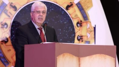 "د.أيمن عاشور" وزير التعليم العالي والبحث العلمي