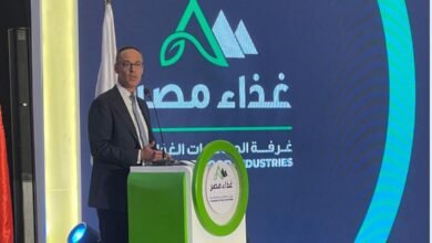 المهندس "أشرف الجزايرلي" رئيس مجلس إدارة غرفة الصناعات الغذائية