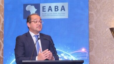 "أحمد كجوك" وزير المالية