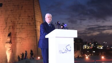 الدكتور أيمن عاشور وزير التعليم العالي والبحث العلمي