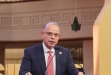 الدكتور محمد فريد - رئيس الهيئة العامة للرقابة المالية