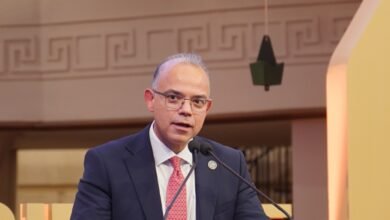 الدكتور محمد فريد - رئيس الهيئة العامة للرقابة المالية