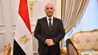 النائب "إسماعيل موسى" عضو مجلس النواب