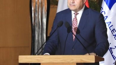 الدكتور عبد العزيز قنصوة وزير التعليم العالي والبحث العلمي