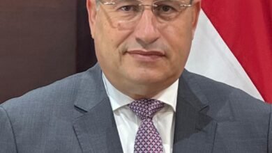 "د.عبد العزيز قنصوة" وزير التعليم العالي والبحث العلمي