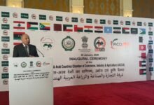 "أحمـد أبـو الغيـط" الأمين العام لجامعة الدول العربية