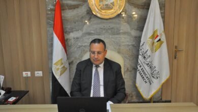 "د.عبد العزيز قنصوة" وزير التعليم العالي والبحث العلمي