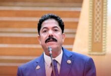 النائب "علاء الحديوي" عضو مجلس النواب عن حزب حماة الوطن