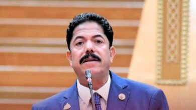 النائب "علاء الحديوي" عضو مجلس النواب عن حزب حماة الوطن