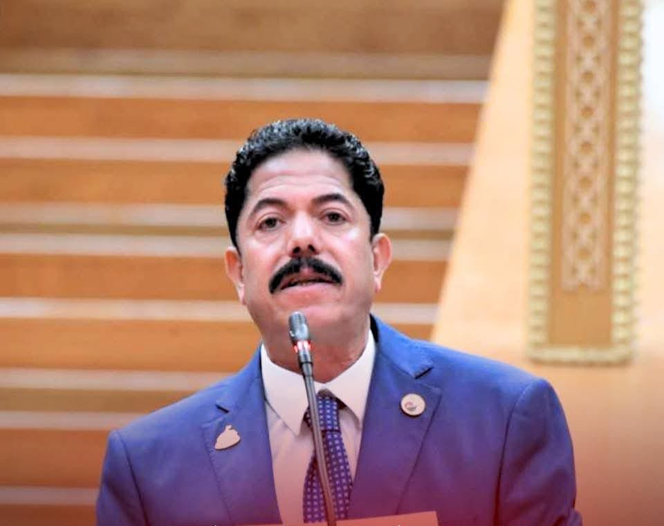 النائب "علاء الحديوي" عضو مجلس النواب عن حزب حماة الوطن