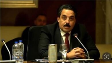 النائب "ناجي الشهابي" رئيس حزب الجيل الديمقراطي وعضو مجلس الشيوخ