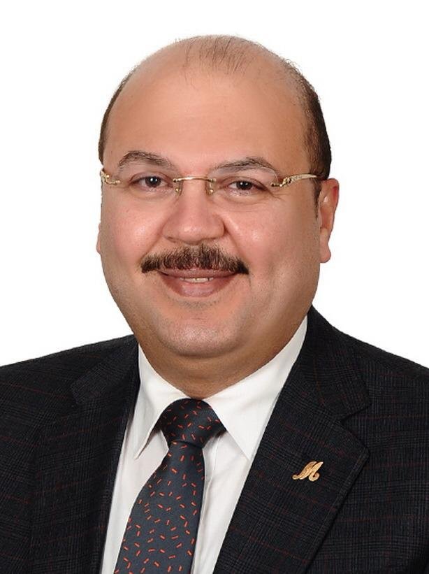 النائب "ميشيل الجمل" عضو مجلس الشيوخ