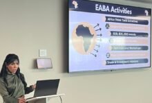 "صوفي الديهي" عضو جمعية رجال الأعمال المصريين الأفارقة ورئيسة لجنة العمل والمسئولية المجتمعية بالجمعية