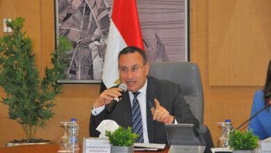 "د.عبد العزيز قنصوة" وزير التعليم العالي والبحث العلمي