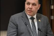 النائب "عماد الغنيمي" عضو مجلس النواب