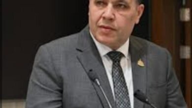 النائب "عماد الغنيمي" عضو مجلس النواب