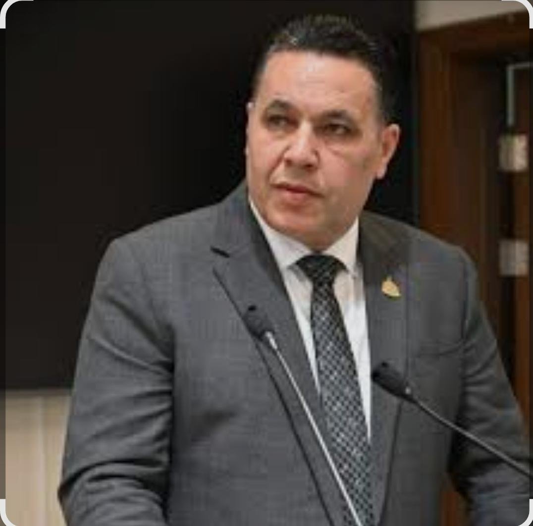 النائب "عماد الغنيمي" عضو مجلس النواب