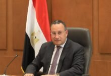 "د.عبد العزيز قنصوة" وزير التعليم العالي والبحث العلمي