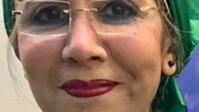 الفنانة الدكتورة سهير عثمان