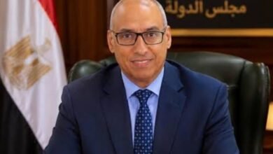 المستشار "محمود أبو الدهب" رئيس مجلس الدولة