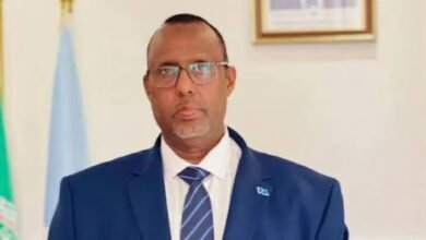 السفير "علي عبدي أواري" سفير جمهورية الصومال الفيدرالية لدى جمهورية مصر العربية ومندوبها الدائم لدى جامعة الدول العربية