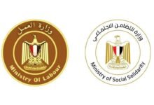 التضامن والعمل