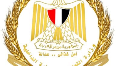 وزارة التموين والتجارة الداخلية