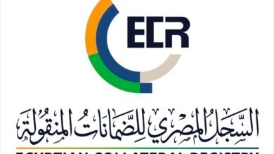 السجل المصري للضمانات المنقولة