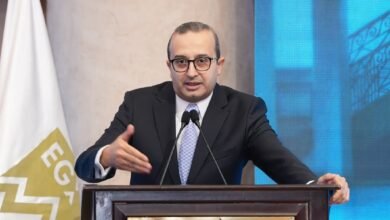 "د.محمد عبد العزيز" مساعد رئيس هيئة الرقابة المالية