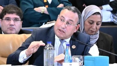 الدكتور عبد العزيز قنصوة، وزير التعليم العالي والبحث العلمي والقائم بعمل وزير الثقافة